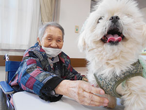 日々の様子