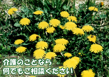 ���̂��ƂȂ牽�ł������k��������