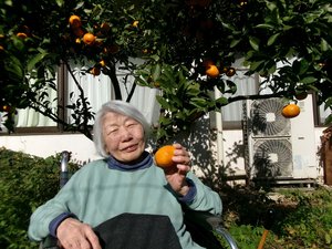 浅川苑 年間行事