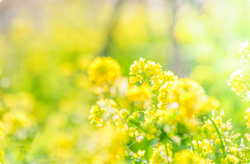 西東京メディカル株式会社_イメージ写真