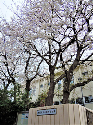 練馬区立大泉町福祉園_イベント