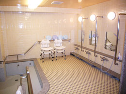 ロマンヒルズ西台ハイライフ浴室