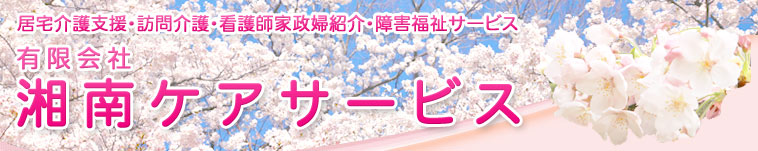 ÓPAT[rX@|@x@K ŌtƐwЉ QT[rX@ڑT[rX