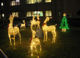 �S�C���[�W�摜