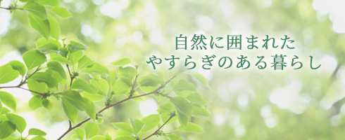 �����Ɓ@�����ƁA�u�D�����̂����炬�v���c