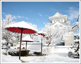 日吉ダム(日吉町)