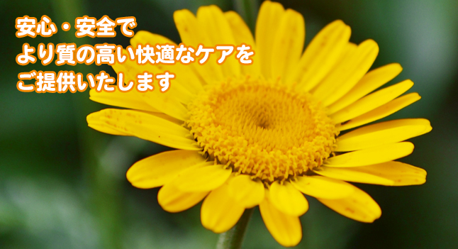 安心・安全でより質の高い快適なケアをご提供します