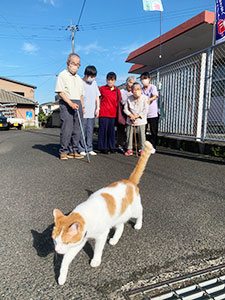 日々の活動の様子