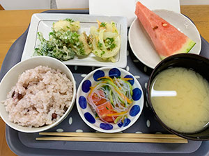 日々の活動の様子