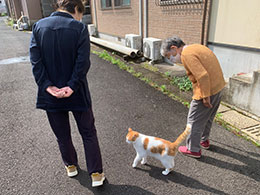 日々の活動の様子