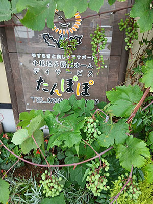 日々の活動の様子