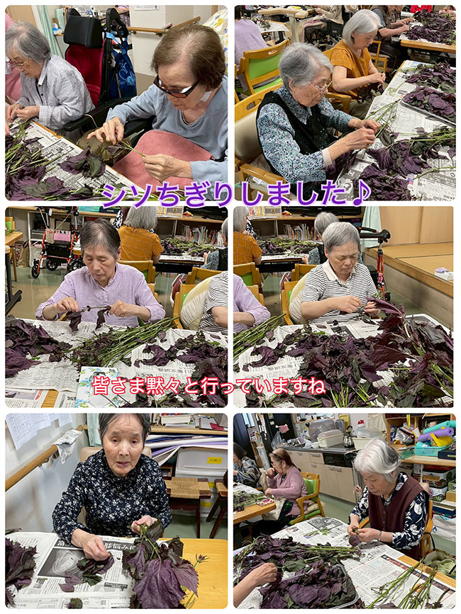 スタッフブログ