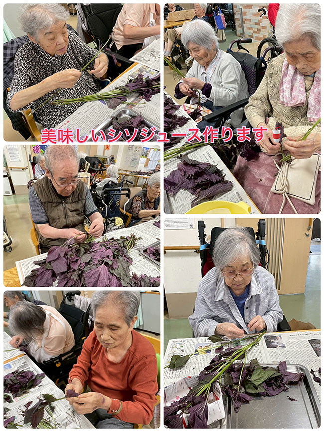 スタッフブログ