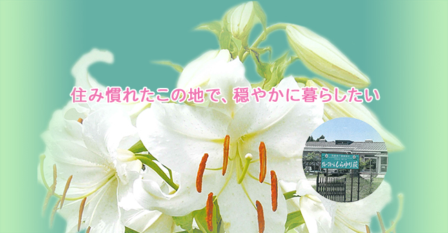 住み慣れたこの地で、穏やかに暮らしたい