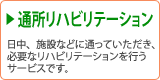 �ʏ����n�r���e�[�V����