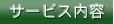 �T�[�r�X���e