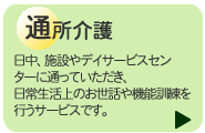 �ʏ����