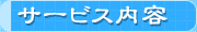 �T�[�r�X���e��