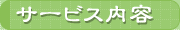 �T�[�r�X���e��