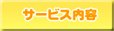 �T�[�r�X���e