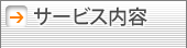 �T�[�r�X���e